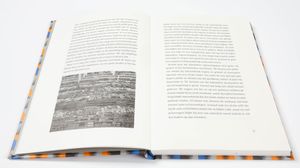The camouflage effect by Roland van der Vorst