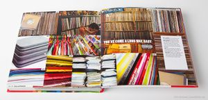Stripes book